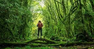 Plan Your Adventure